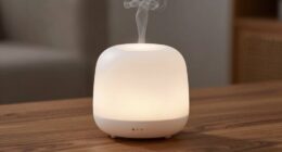 quiet effective diffuser features