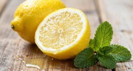 refreshing citrus and herbs