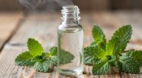 refreshing natural peppermint essence