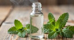 refreshing natural peppermint essence