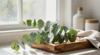 soothing eucalyptus ambiance