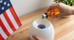 13 Best Patriotic Essential Oil Diffuser in 2026