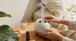 12 Best Essential Oil Diffuser Humidifiers for Everyday Comfort in 2027