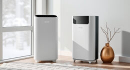 Levoit Vital 200S-P Review: A Winter Pick for Large Rooms